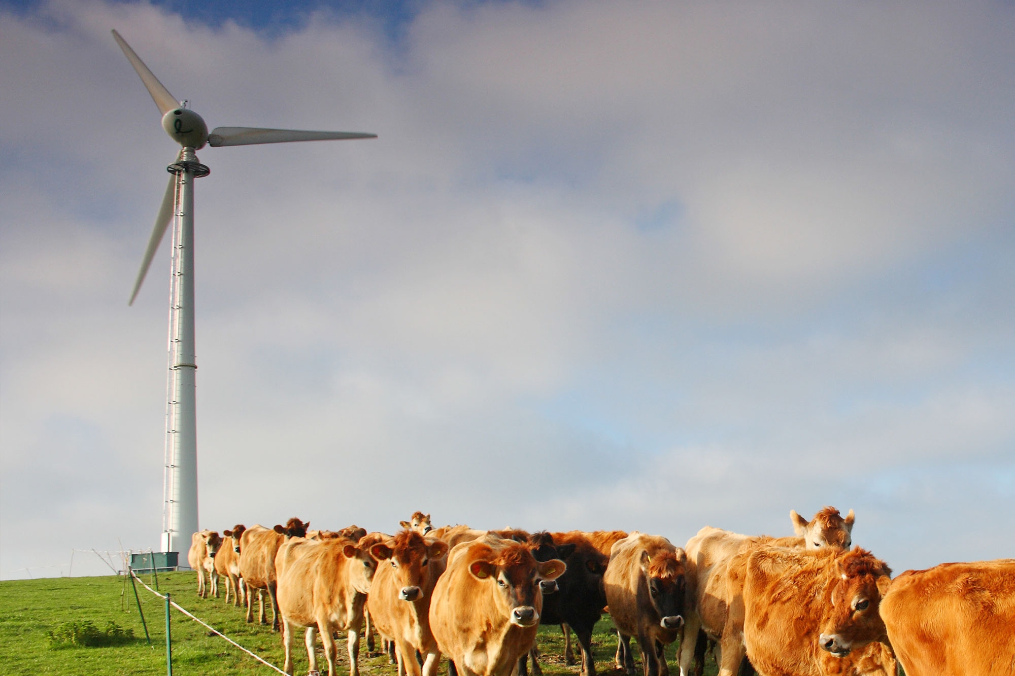 Endurance Wind Power E3120 Service Plans