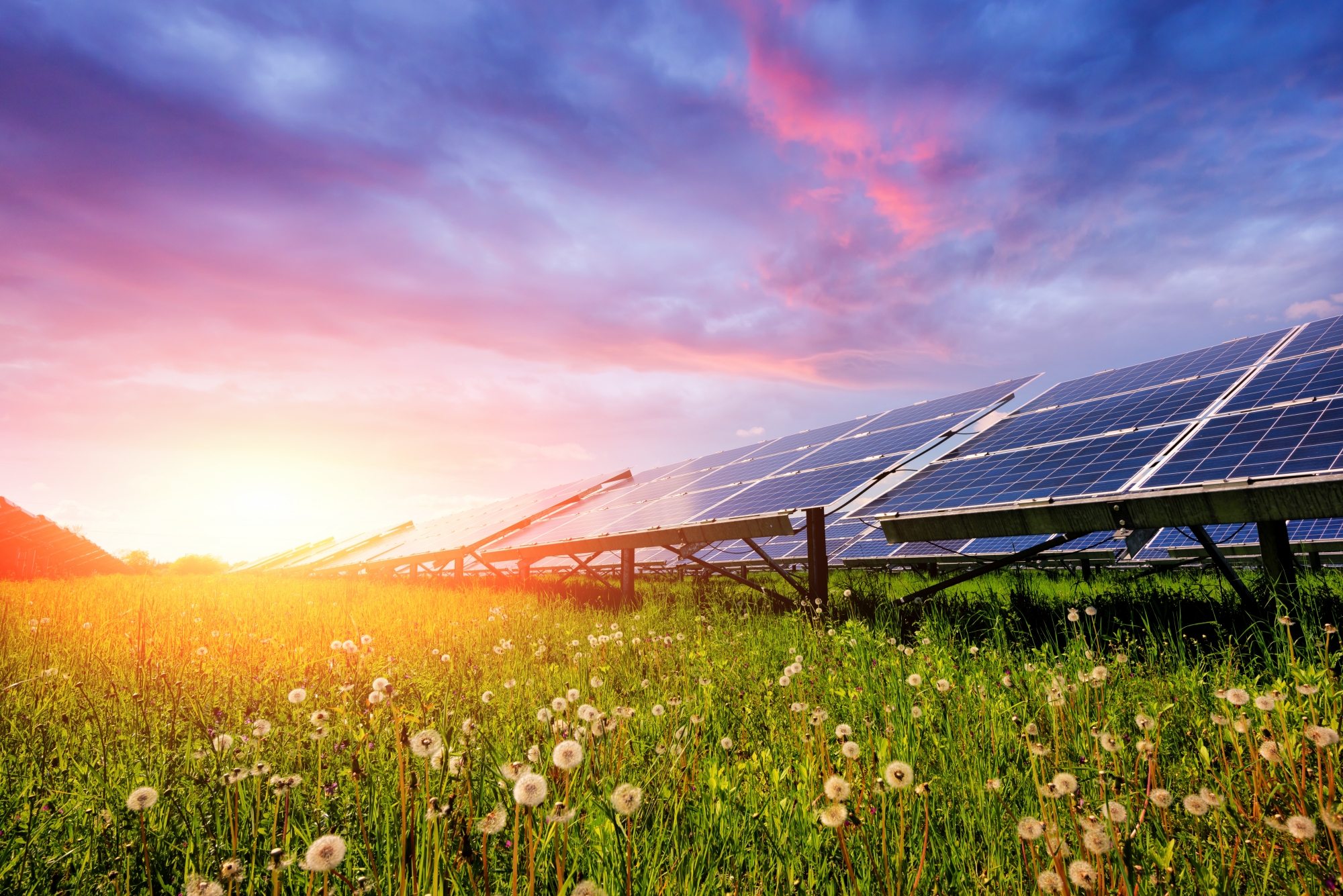 Solar Panels for Businesses in Cornwall | Natural Generation