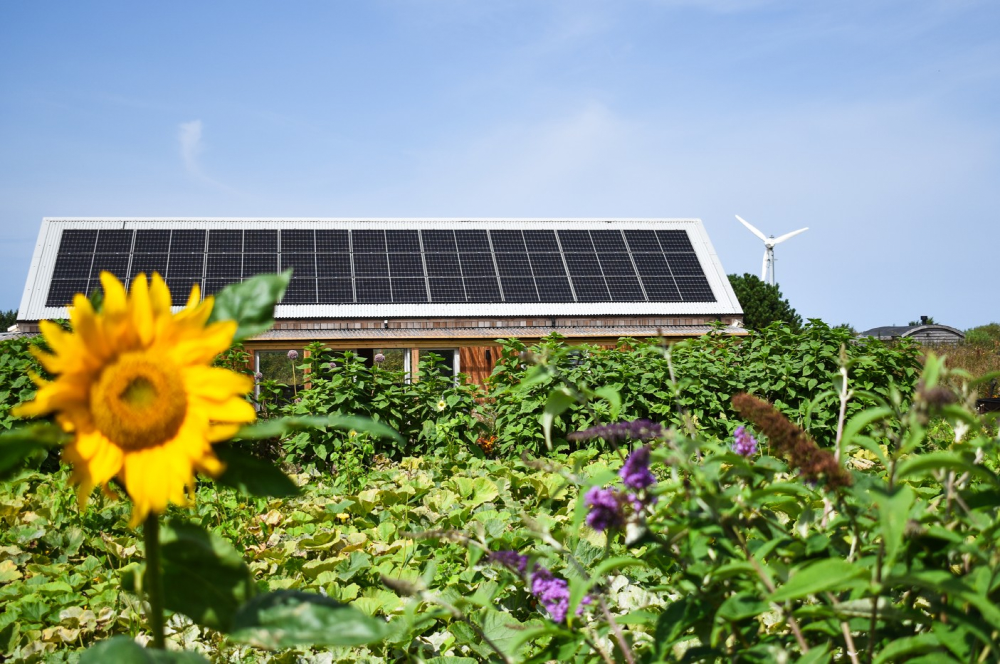Solar Panels for Businesses in Cornwall | Natural Generation